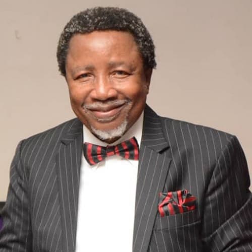 Professor Emmanuel Oladipupo Otolorin